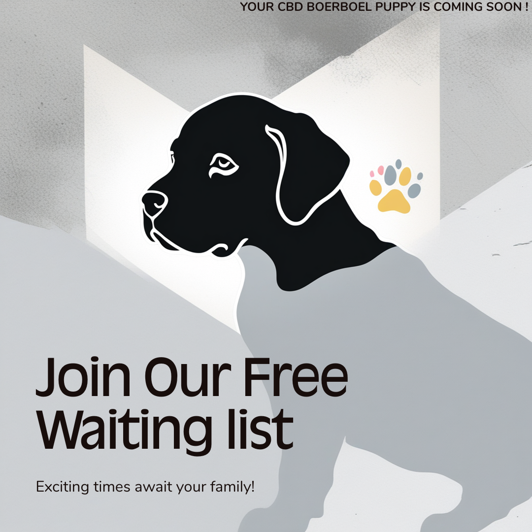 Waitlist and More
