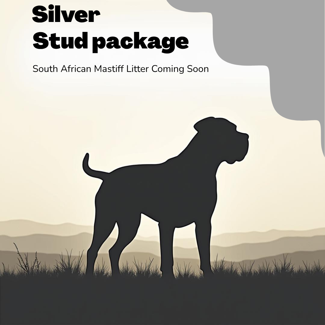 Silver Stud Package