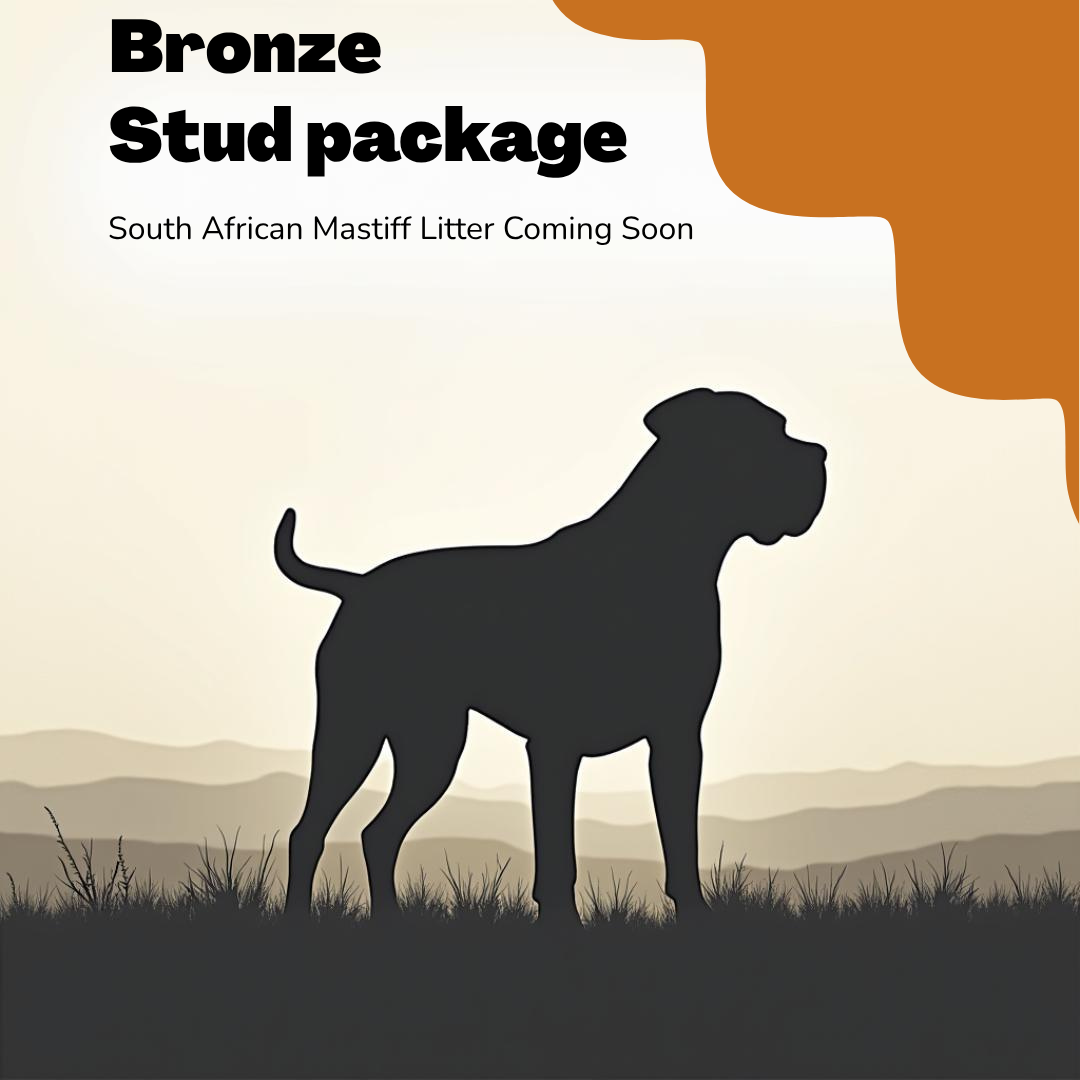 Bronze Stud Package (Copy)