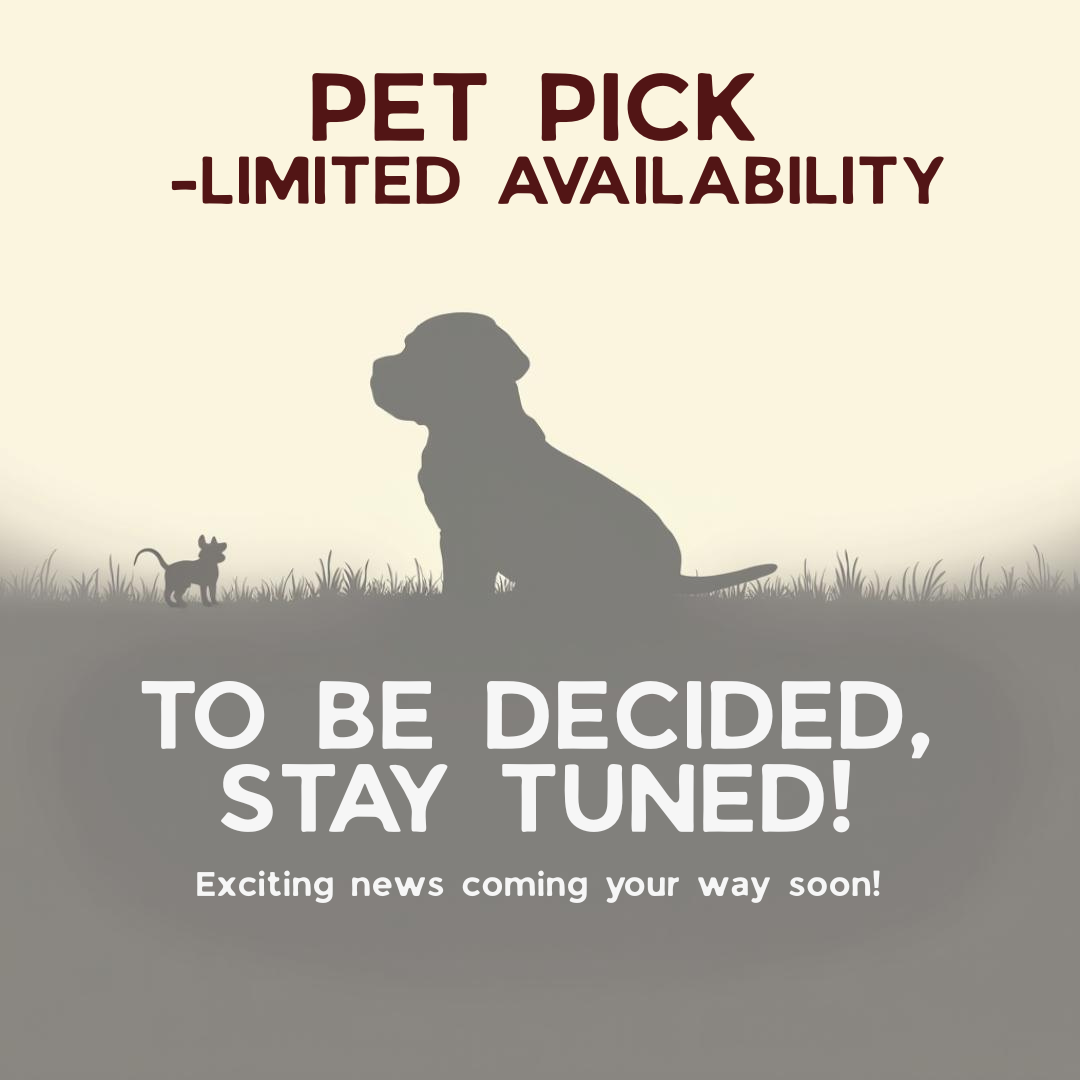 Registered "Pet Only" Boerboel