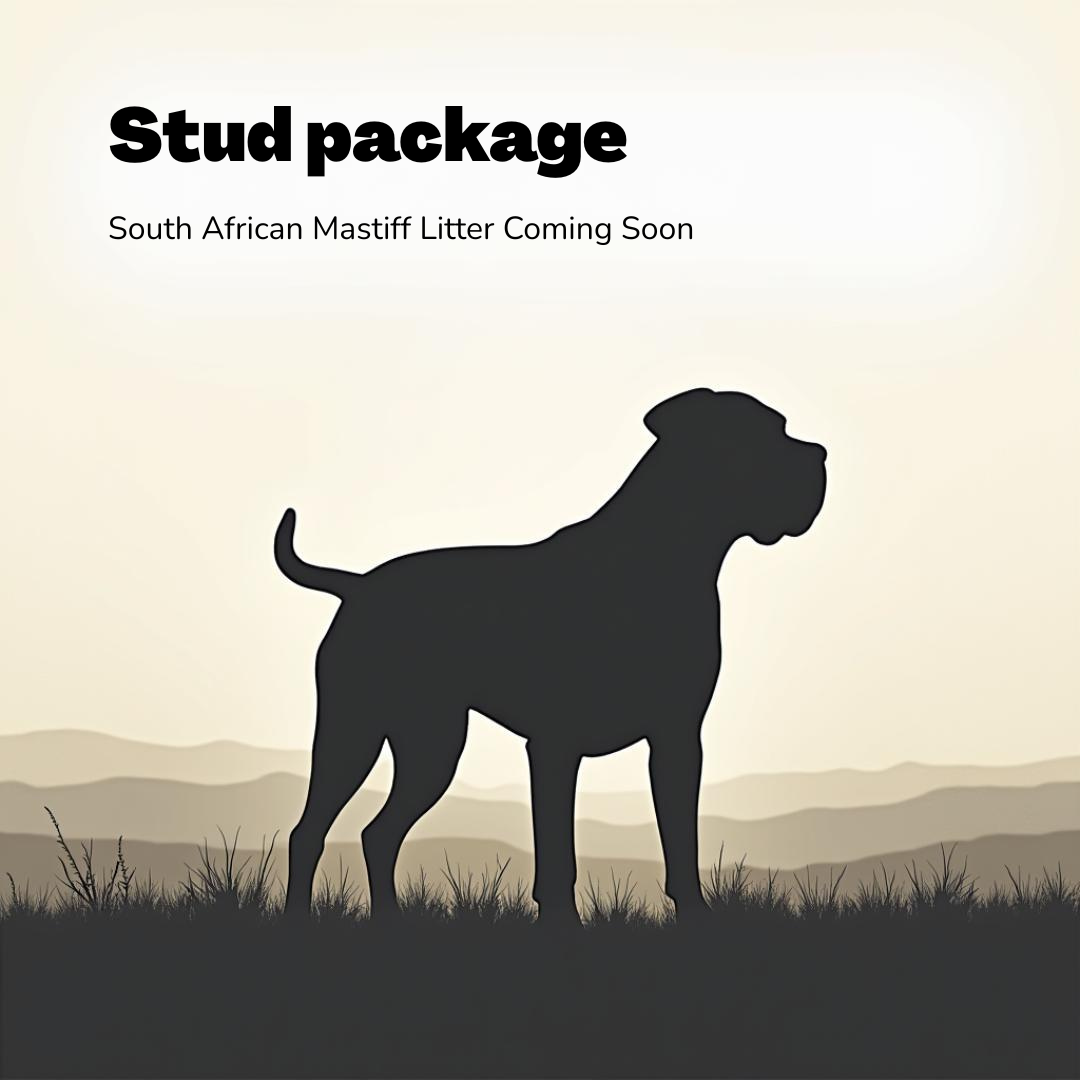 Stud Services