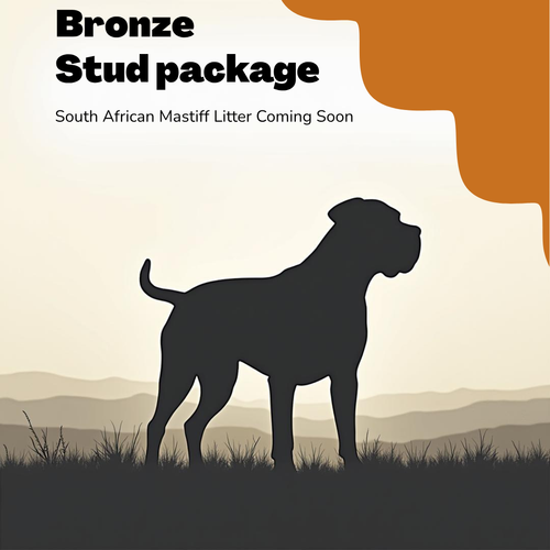 Bronze Stud Package (Copy)
